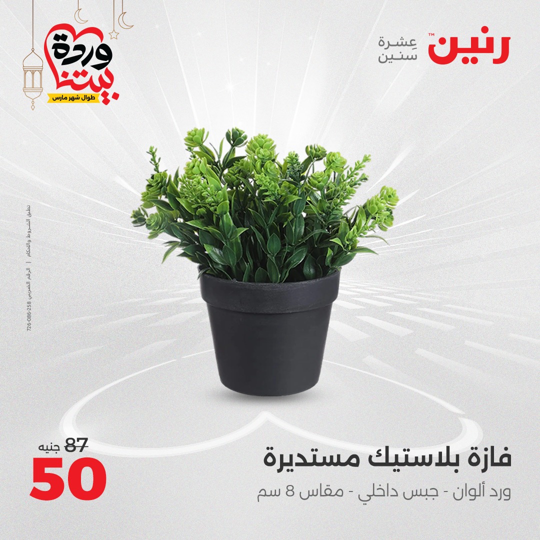 raneen offers from 23mar to 24mar 2025 عروض رنين من 23 مارس حتى 24 مارس 2025 صفحة رقم 33
